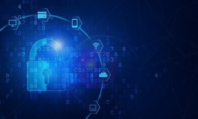 網絡科技 擁抱數字化未來